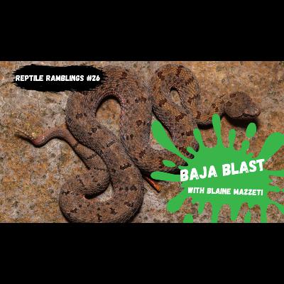 Herping in Mexico and California with Blaine Mazzetti | Reptile Ramblings #26 Herping in Mexico and California with Blaine Mazzetti | Reptile Ramblings #26
