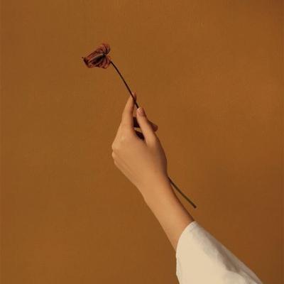 Nefretin Bilişsel Süreçleri: Söylem & Irkçılık Nefretin Bilişsel Süreçleri: Söylem & Irkçılık