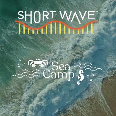 Sea Camp: Why Are Ocean Currents Shifting?