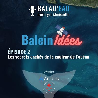 BaleinIDÉES: les secrets cachés de la couleur de l'eau