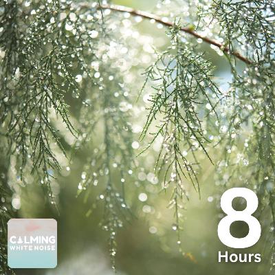 Gentle Rain on Tree Leaves | White Noise Sound for Sleep & Relaxation Gentle Rain on Tree Leaves | White Noise Sound for Sleep & Relaxation