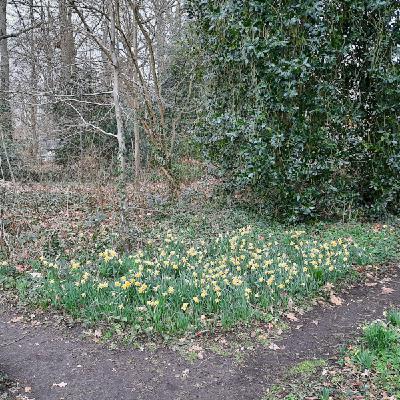 203: Educatieve Natuurtuin Goffert: van bos naar bankje