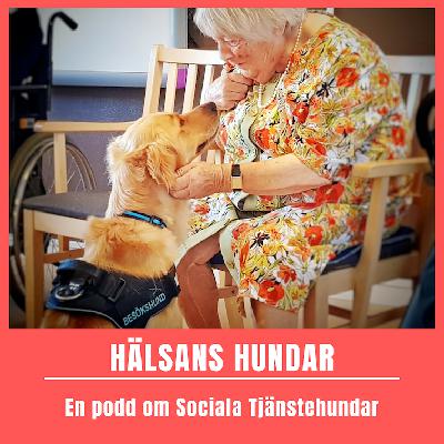 # 19 Nina Ekholm Fry och positionering