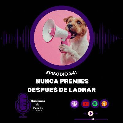 Ep#341: Nunca premies después de ladrar