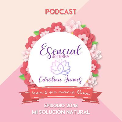2048 Mi solución natural