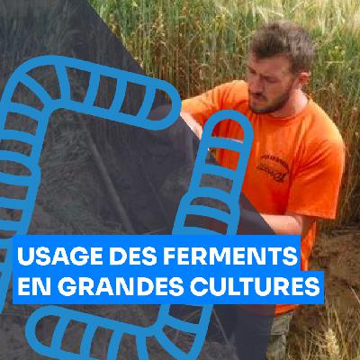 Usage des ferments et des EM en céréales et cultures industrielles, Baptiste Maître