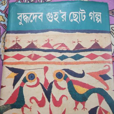 Bengali Short Stories (Sagor Raja)