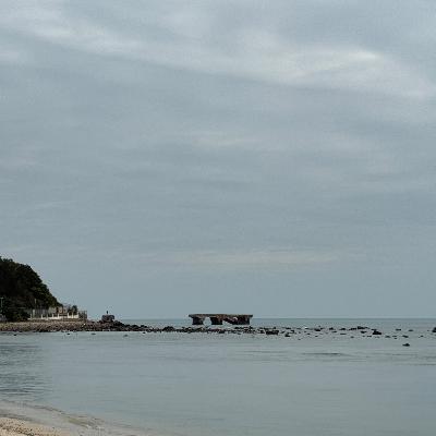 2025海影节：阿凡达3，罗目的黄昏，青椰训练营，节展利益交换、实验片、信息壁垒