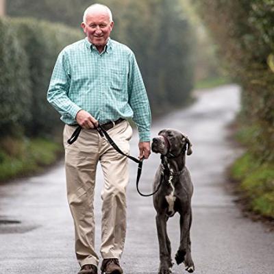 CarSafe Crash Tested Dog Harness with Dr. Roger Mugford