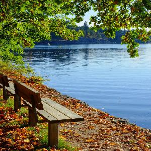 2018-04-29 "Let Peace Be In Charge" 2018-04-29 "Let Peace Be In Charge"