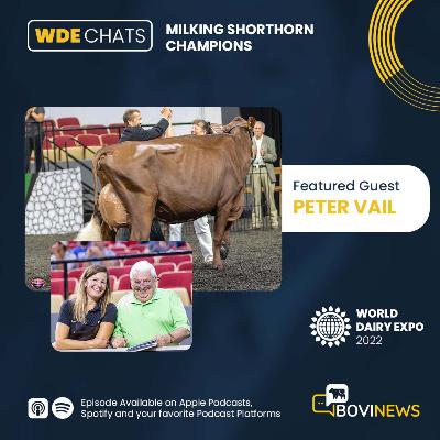 BoviNews WDE 2022 Chats: Milking Shorthorn Champions with Peter Vail