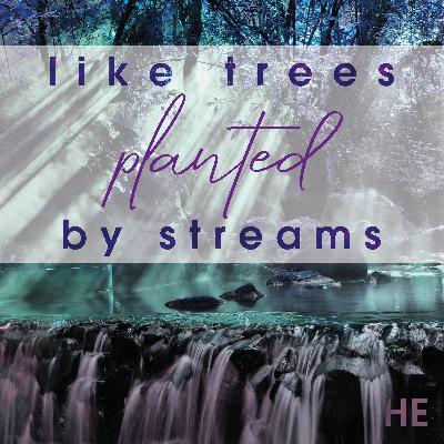 LTPBS - El Significado de Pentecostés (parte 3) LTPBS - El Significado de Pentecostés (parte 3)