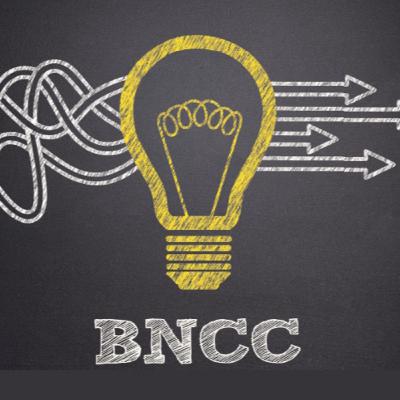 Considerações sobre a BNCC e o ensino de Língua Portuguesa para o Ensino Médio