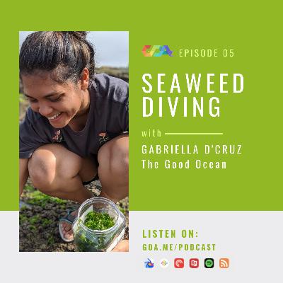 Seaweed diving with Gabriella D'Cruz of The Good Ocean | Episode 05