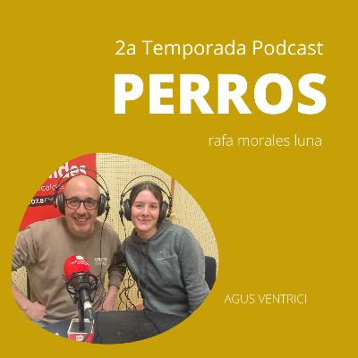 TIPOLOGÍA BULL - AGUS VENTRICI - EDUCADORA CANINA