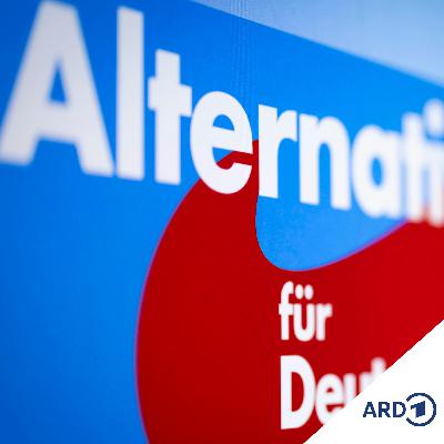 Stoppt Schulze die Sachsen-Anhalt-AfD? Stoppt Schulze die Sachsen-Anhalt-AfD?