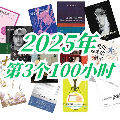 书票夹 | 2025第三个100小时：鲍曼对谈、略萨小品；马亲王两本、奥斯特遗作