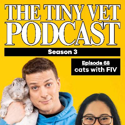 68: Cats with FIV