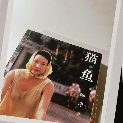 vol.10 从《猫鱼》看非专业写作者的自我修养,文科生的快乐我也想体会一下啊~ vol.10 从《猫鱼》看非专业写作者的自我修养,文科生的快乐我也想体会一下啊~