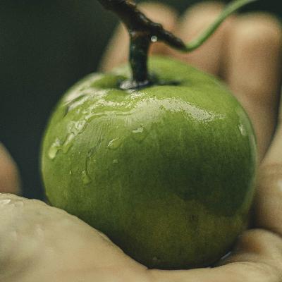 ¿Por qué eres tan inmaduro? ¿Por qué eres tan inmaduro?