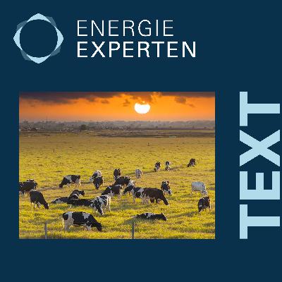 Methan – die unterschätzte Gefahr fürs Klima (Text)