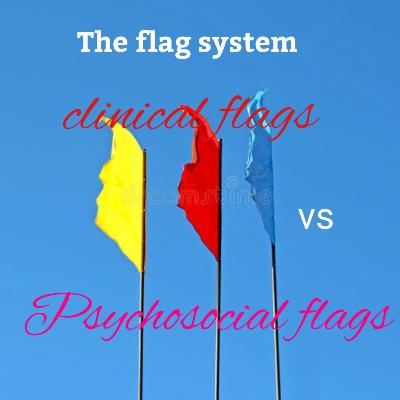 #39-The flag system (ep-2) #39-The flag system (ep-2)