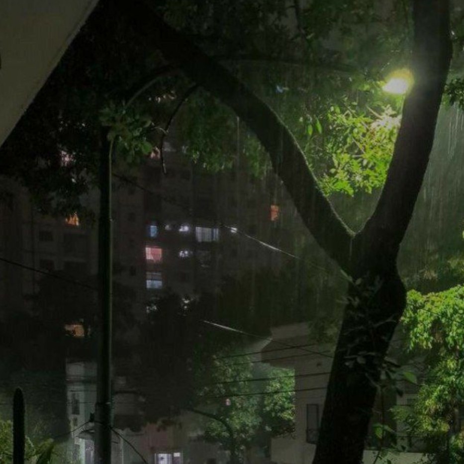 《استاد هوشنگ ابتهاج》