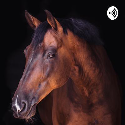 Mindfulness Practice Q&A: Can I do the self-study practice if my barn is closed due to Covid-19?