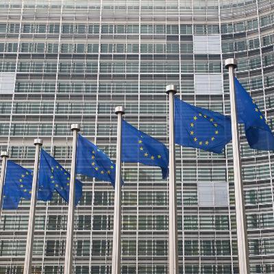 European leaders meet to discuss their shared future