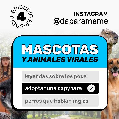 MASCOTAS y animales virales | Da para Meme #04