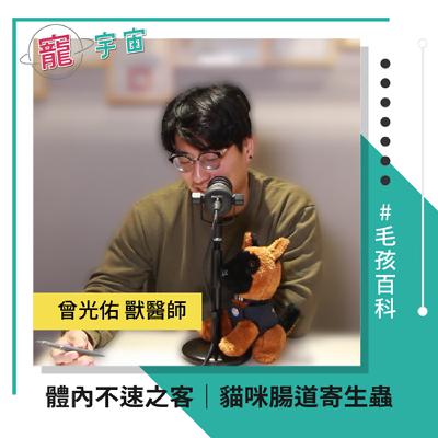 EP72《毛孩百科#33》體內不速之客｜貓咪腸道寄生蟲｜feat. 曾光佑 獸醫師