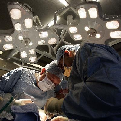 Organ donation, Gerry Adams and corgi-cloning