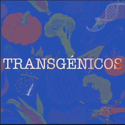 TRANSGÉNICOS: LAS DOS CARAS