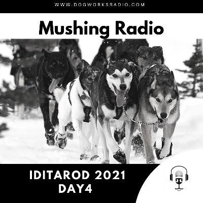 Iditarod 2021 Daily Coverage | Day 4