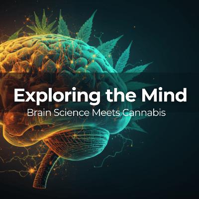 Cannabis Use Associated With Higher Brain Volume & Better Cognitive Function | NEW STUDY