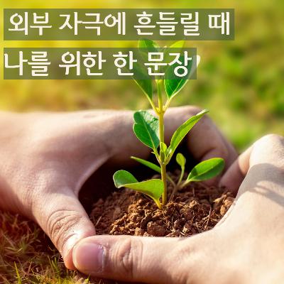 삶의 방향을 잊지 않게 해주는 산칼파 명상 | 요가 니드라 Ep.2