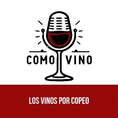 Ep 10) Los Vinos por copeo
