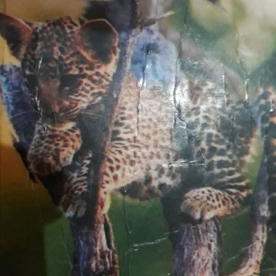 ch 1 the fundamental unit of life cell by priyanka tandon(annex future academy) ch 1 the fundamental unit of life cell by priyanka tandon(annex future academy)