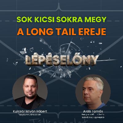 Sok kicsi sokra megy - a long tail ereje | Lépéselőny podcast Sok kicsi sokra megy - a long tail ereje | Lépéselőny podcast