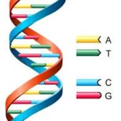 Episódio 2: DNA
