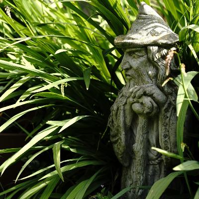 Weekly Warp: Wizard's Grass Weekly Warp: Wizard's Grass