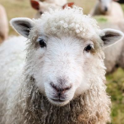 Noticias filosóficas. Episodio 53