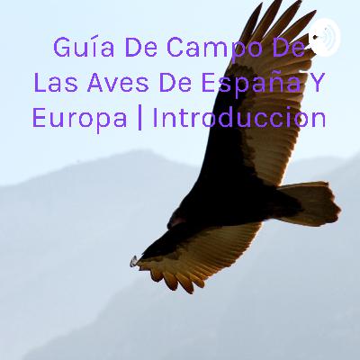Guía de campo de las aves de España y Europa | Ciclo vital 2a parte, identificación y comportamiento