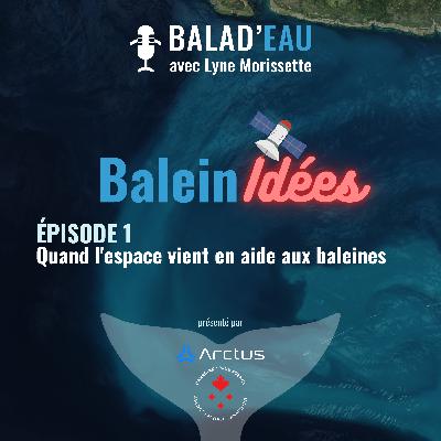 BaleinIDÉES: quand l'espace vient en aide aux baleines