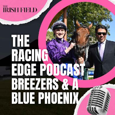 Ep 99: The Racing Edge Podcast Ep 27 – Life’s not a breeze for big-money buys? Ep 99: The Racing Edge Podcast Ep 27 – Life’s not a breeze for big-money buys?