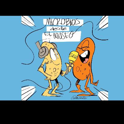 Microbios desde el museo: ¿Cuál es la mejor dieta para tu microbiota...y tu cerebro?