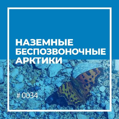 Наземные беспозвоночные Арктики Наземные беспозвоночные Арктики