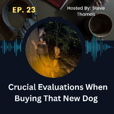 Buying a Dog for Hunting Season? What to Look for First