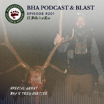 11 Bulls in a Row with BHA's Trey Curtiss