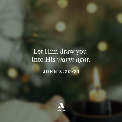 Drawn to Light Drawn to Light